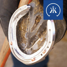 Load image into Gallery viewer, Horse Shoes - Kings - Extra Sound Steel - HIND - with Toe Clip - Size 6