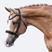 Load image into Gallery viewer, LUMIERE- Accadia Luxury Leather Bridle -CAVESSON - Full - Black