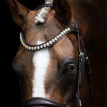 Load image into Gallery viewer, LUMIERE- Athens Leather Bridle - BROWN - COB