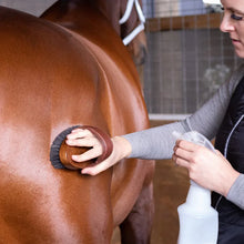 Load image into Gallery viewer, HairyPony - Esential Coat Conditioner - 1000 ml