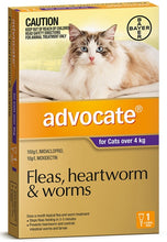 Load image into Gallery viewer, Advocate Cat Over 4kg - 1 application