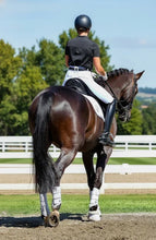Load image into Gallery viewer, Bare - Sculpt Hybrid Riding Breeches - White/Black Seat - ASSORTED SIZES