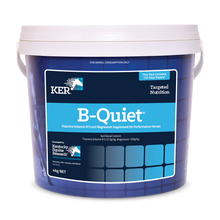 Load image into Gallery viewer, KER B-Quiet - VARIOUS SIZES