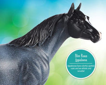 Load image into Gallery viewer, Fredom Blue Roan Appoloosa - BREYER