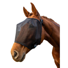 Load image into Gallery viewer, Wild Horse Fly Veil - FV1 - ASSORTED SIZES