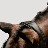 Load image into Gallery viewer, LUMIERE- Accadia Luxury Leather Bridle -CAVESSON - Full - Black