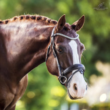 Load image into Gallery viewer, Bridle - Lumiere - Anastasia - Convertible - BROWN - Pony