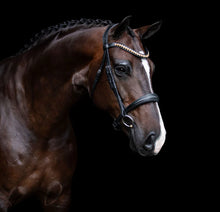 Load image into Gallery viewer, LUMIERE- Athens Leather Bridle - BLACK - COB