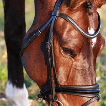 Load image into Gallery viewer, LUMIERE-Melodie Classic Bridle - BROWN - FULL