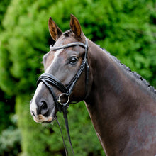 Load image into Gallery viewer, LUMIERE-Melodie Classic Bridle - BLACK- FULL
