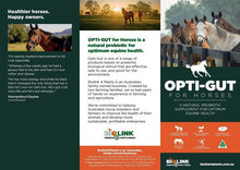 Load image into Gallery viewer, Opti-Gut 2.5 kg & 4.8 kg