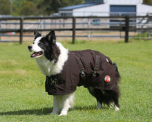 Load image into Gallery viewer, Dog Coat - Oil Skin - Brown - Thermo Master - ASSORTED SIZES