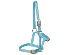 Load image into Gallery viewer, FOAL Halter - Delux - PINK & BABY BLUE