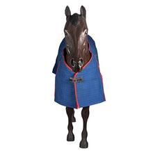 Load image into Gallery viewer, RUG - Canvas Ripstop with blanket Lining - 5"0'