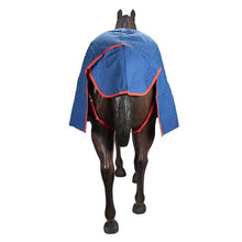 Load image into Gallery viewer, RUG - Canvas Ripstop with blanket Lining - 5"0'