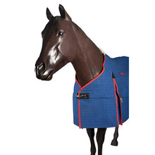 Load image into Gallery viewer, RUG - Canvas Ripstop with blanket Lining - 5"0'