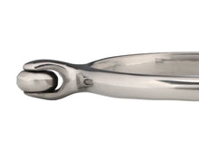 Load image into Gallery viewer, Soft Touch Prince of Wales Spurs