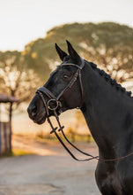 Load image into Gallery viewer, Bridle Horze - Lockhart - Dark Brown - ASSORTED SIZES