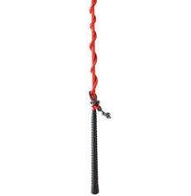Load image into Gallery viewer, Eureka Lunge Whip - 160 cm - PICK UP IN STORE ONLY