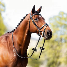 Load image into Gallery viewer, Bridle- Anatomical Leather - Cavalier- Black - FULL
