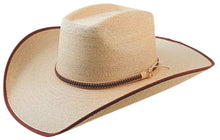 Load image into Gallery viewer, Sunbody Mexican Box Top - Fine Golden Palm