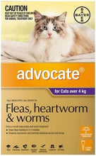 Load image into Gallery viewer, Advocate Kitten & Small Cats up to 4KG