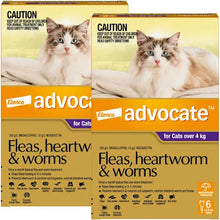 Load image into Gallery viewer, Advocate Cat Over 4kg - 1 application