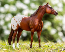 Load image into Gallery viewer, Traditional Ideal Series - BREYER - Appoloosa