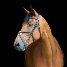 Load image into Gallery viewer, Horze Prescott Cross Noseband Bridle BLACK and BROWN