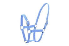 Load image into Gallery viewer, Eureka Buckle Halter
