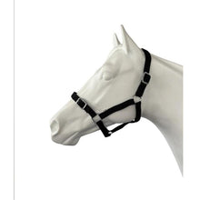 Load image into Gallery viewer, Eureka Buckle Halter -ASSORTED COLORS &amp; SIZES
