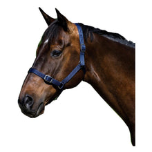 Load image into Gallery viewer, Eureka Buckle Halter -ASSORTED COLORS &amp; SIZES
