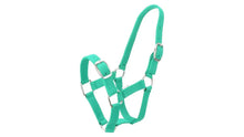 Load image into Gallery viewer, Eureka Buckle Halter
