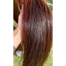 Load image into Gallery viewer, Hairy Pony Silky Serum with Ylang Ylang Rose Geraniu, &amp; Cedar Wood
