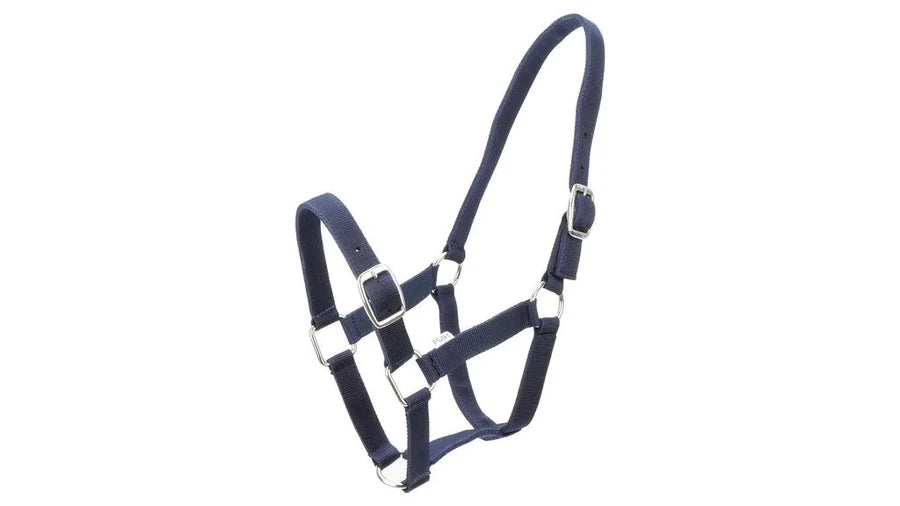 Eureka Buckle Halter