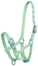 Load image into Gallery viewer, Eureka Buckle Halter
