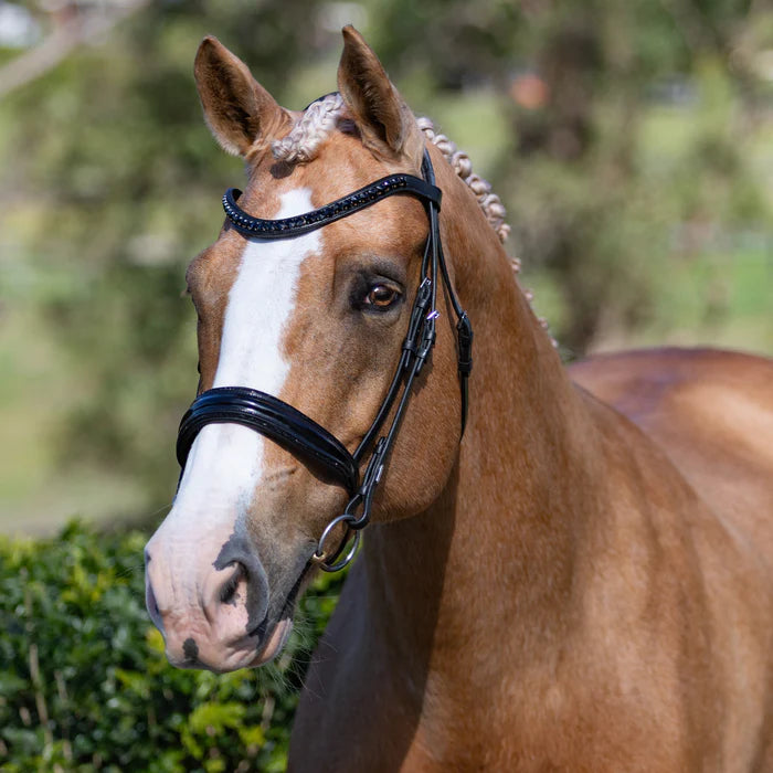 LUMIERE- Accadia Luxury Leather Bridle -CAVESSON - Full - Black