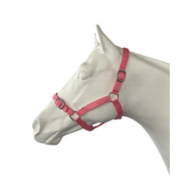 Load image into Gallery viewer, Eureka Buckle Halter
