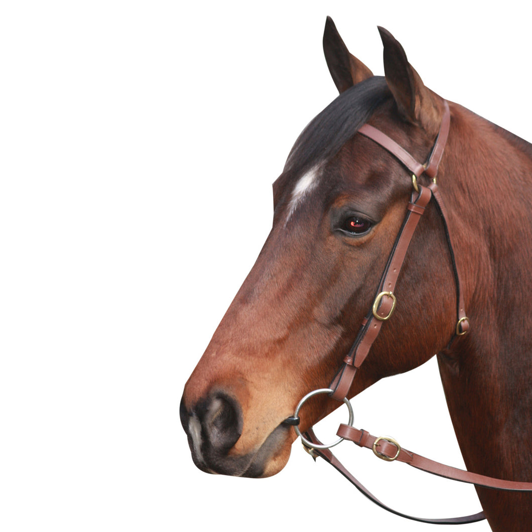 Barcoo Bridle -McAlister- Pony -Brown