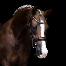 Load image into Gallery viewer, LUMIERE- Athens Leather Bridle - BROWN - COB
