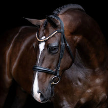 Load image into Gallery viewer, LUMIERE- Athens Leather Bridle - BLACK - COB
