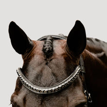 Load image into Gallery viewer, LUMIERE- Accadia Luxury Leather Bridle -CAVESSON - Full - Black
