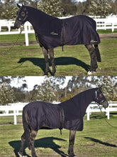 Load image into Gallery viewer, Earlwood Cotton Show RUG - ASSORTED SIZES &amp; COLORS
