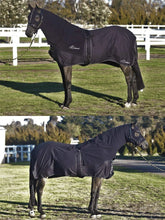 Load image into Gallery viewer, Earlwood Cotton Show RUG - ASSORTED SIZES &amp; COLORS
