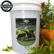 Load image into Gallery viewer, Equivital 4.5kg
