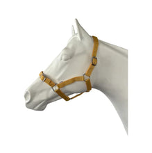 Load image into Gallery viewer, Eureka Buckle Halter ASSORTED COLORS and SIZES
