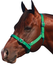 Load image into Gallery viewer, Eureka Buckle Halter
