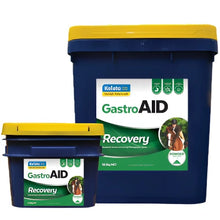 Load image into Gallery viewer, Kelato Gastroaid Recovery- 5.25 kg &amp;10.5 kg
