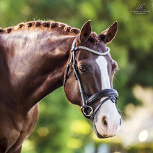 Load image into Gallery viewer, Bridle - Lumiere - Anastasia - Convertible - Brown - Cob
