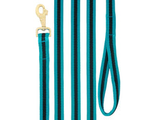 Load image into Gallery viewer, Lunge Lead - Soft Tubular Web  -Assorted Colors -  8 metres
